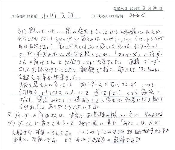 子犬お客様の声
