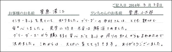 子犬お客様の声