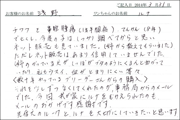 子犬お客様の声