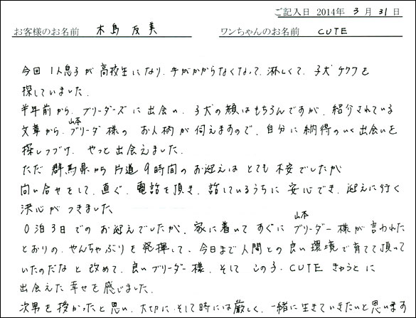 子犬お客様の声
