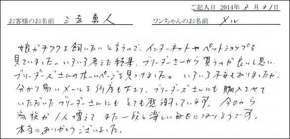 子犬お客様の声