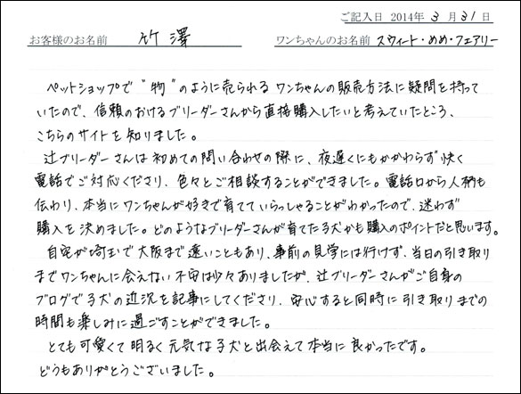 子犬お客様の声