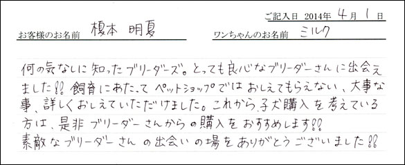 子犬お客様の声