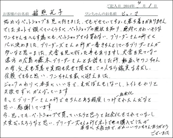 子犬お客様の声
