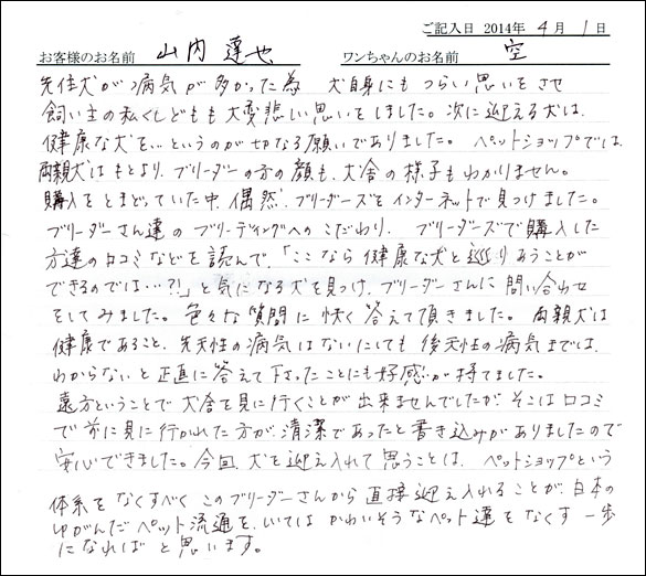 子犬お客様の声
