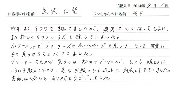 子犬お客様の声