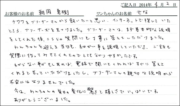 子犬お客様の声