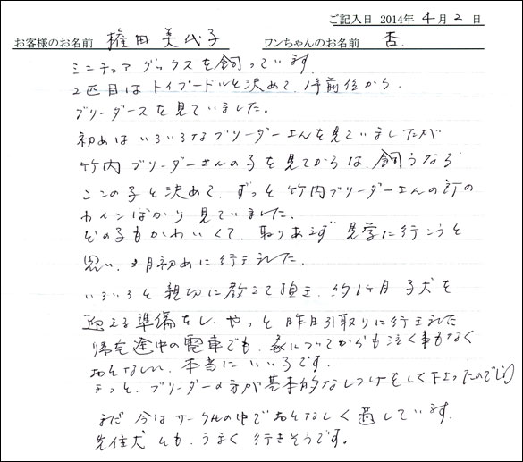 子犬お客様の声