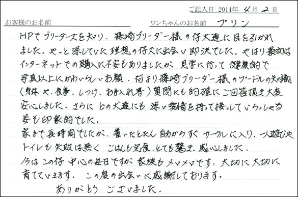 子犬お客様の声