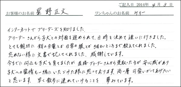 子犬お客様の声