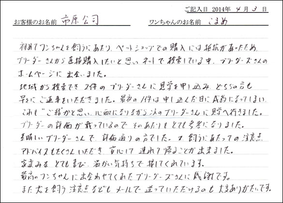 子犬お客様の声