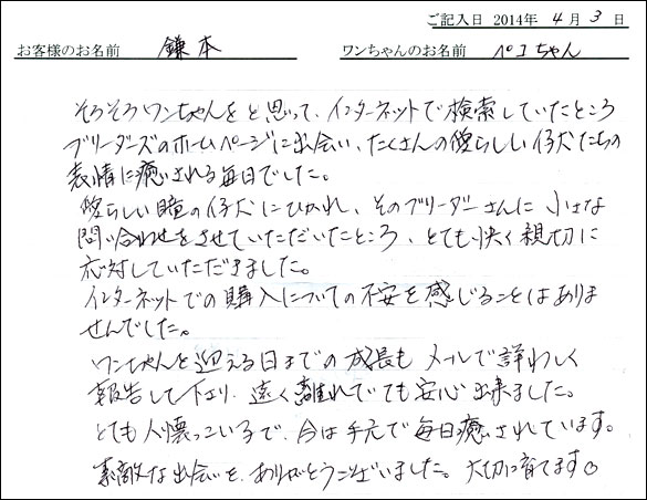 子犬お客様の声