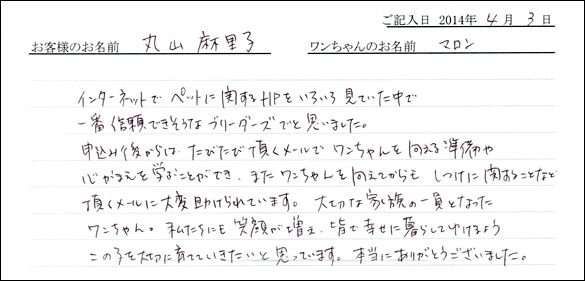 子犬お客様の声