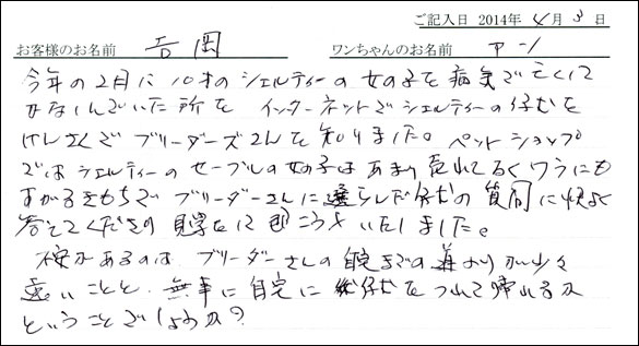子犬お客様の声