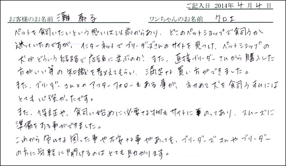 子犬お客様の声