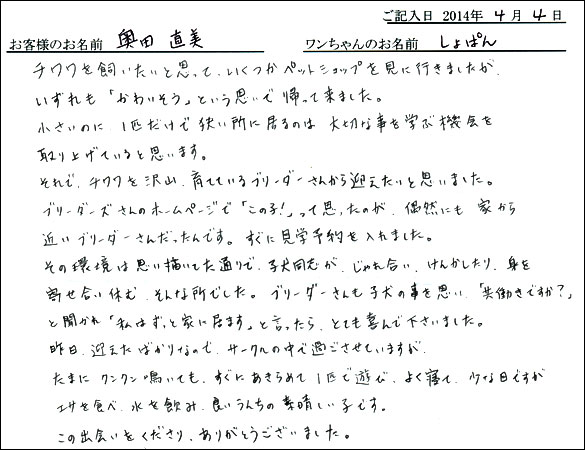子犬お客様の声