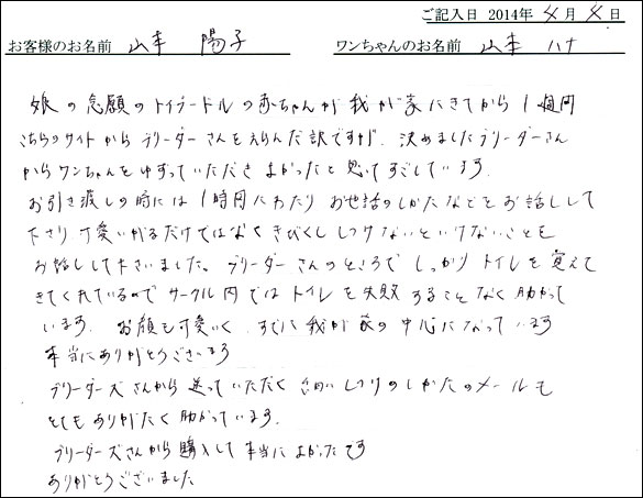 子犬お客様の声