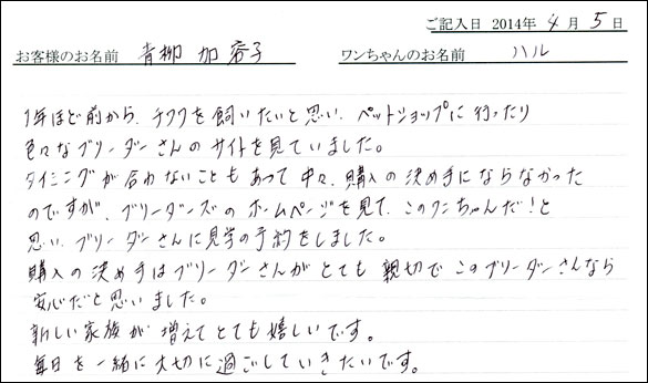 子犬お客様の声