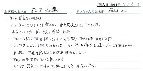 子犬お客様の声