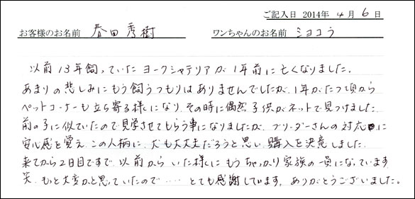 子犬お客様の声