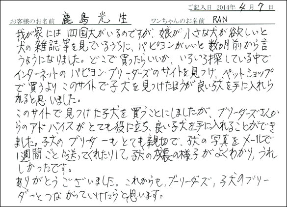 子犬お客様の声