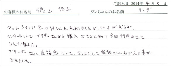 子犬お客様の声
