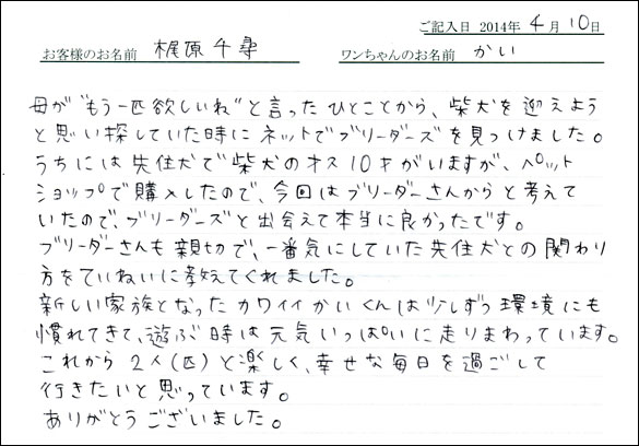 子犬お客様の声
