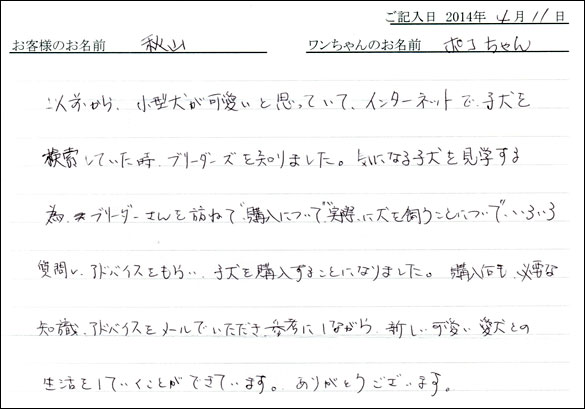 子犬お客様の声