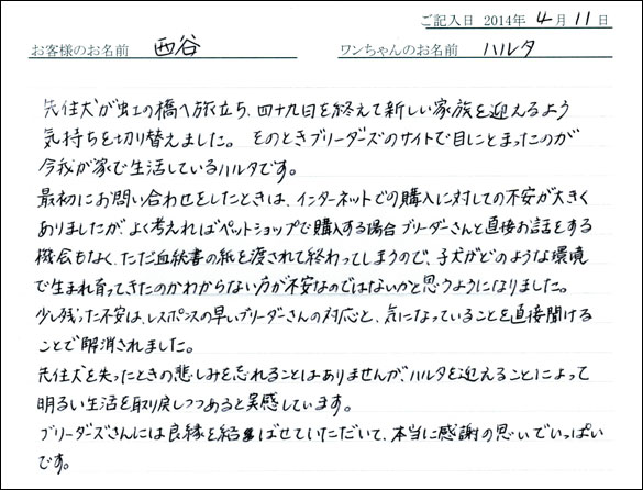 子犬お客様の声