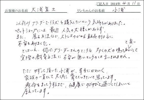 子犬お客様の声