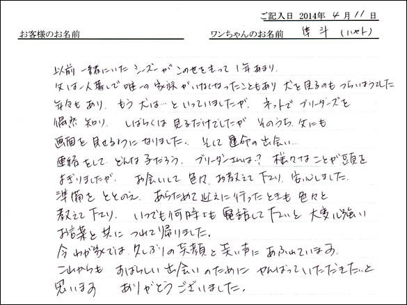 子犬お客様の声