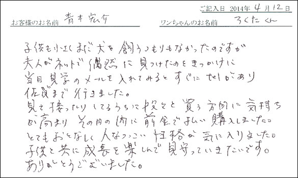 子犬お客様の声