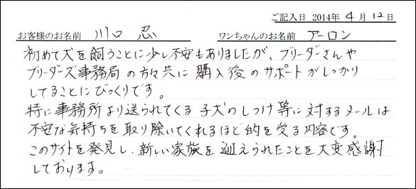 子犬お客様の声