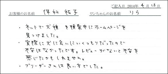 子犬お客様の声