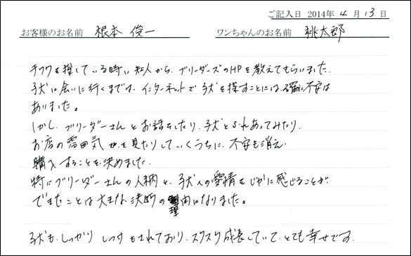 子犬お客様の声