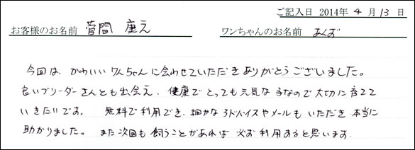 子犬お客様の声