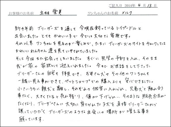 子犬お客様の声
