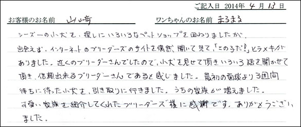 子犬お客様の声