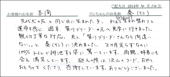 子犬お客様の声