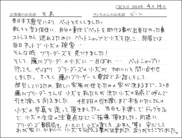 子犬お客様の声