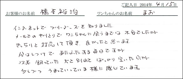 子犬お客様の声