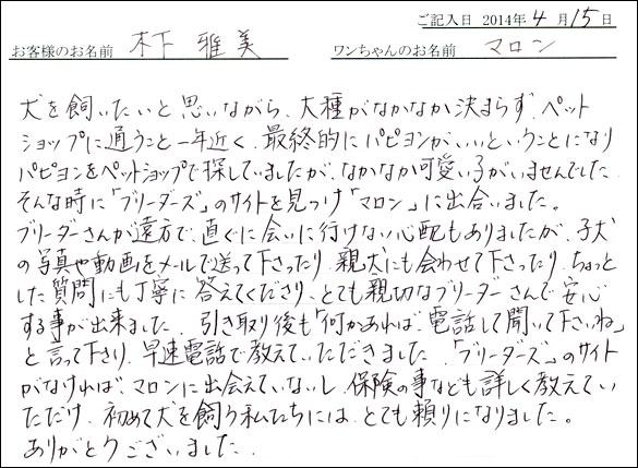子犬お客様の声