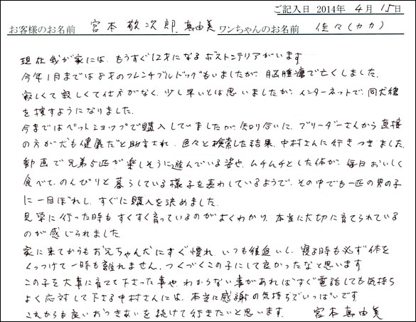 子犬お客様の声