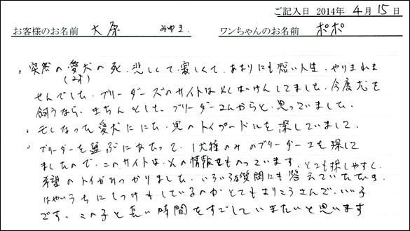 子犬お客様の声