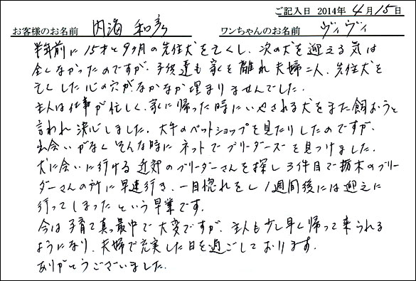 子犬お客様の声