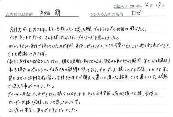 シェットランドシープドッグお客様の声