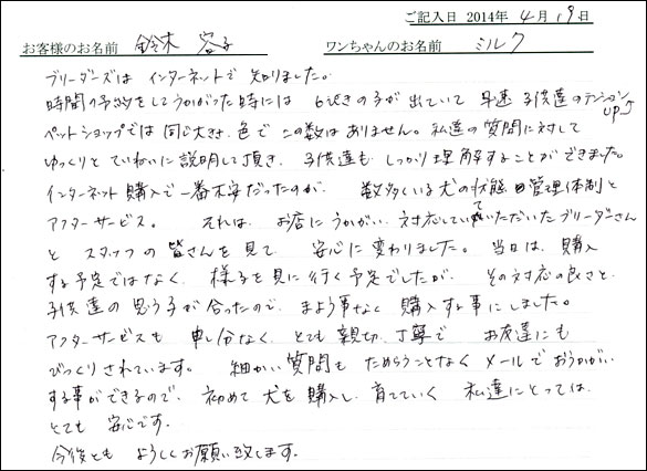 シェットランドシープドッグお客様の声