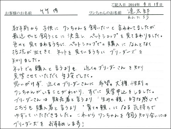 シェットランドシープドッグお客様の声