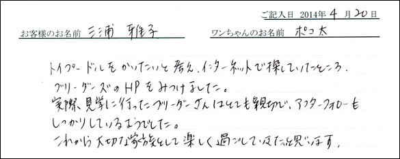 シェットランドシープドッグお客様の声