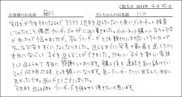 シェットランドシープドッグお客様の声